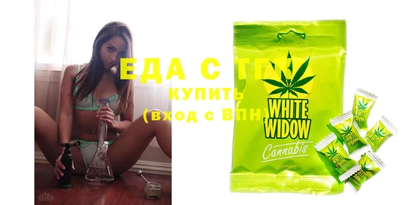 индика Арсеньев