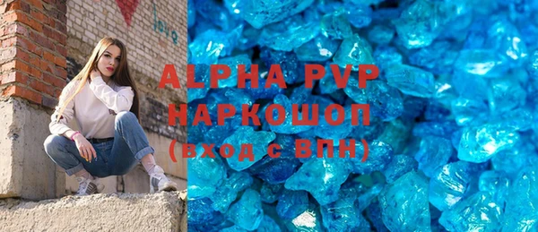 индика Арсеньев
