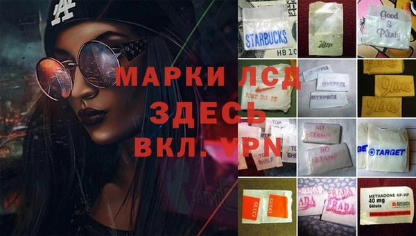 индика Арсеньев