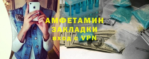 индика Арсеньев