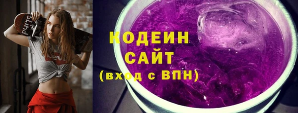 индика Арсеньев